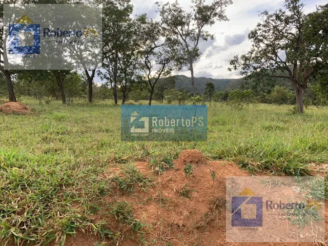 Imagem 6: Fazenda a venda na região de Paracatu -MG. A fazenda possui 212.1770 hectares (44