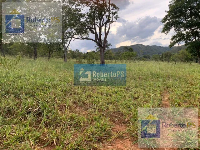 Imagem 10: Fazenda a venda na região de Paracatu -MG. A fazenda possui 212.1770 hectares (44