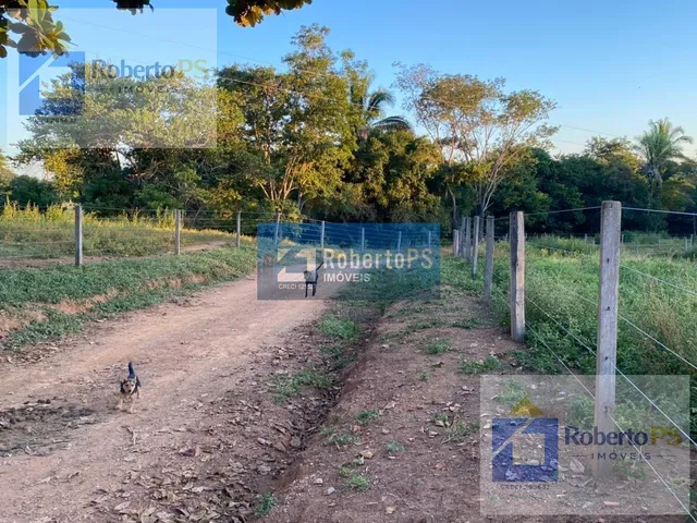 Imagem 7: Fazenda a venda na região de Paracatu -MG. A fazenda possui 212.1770 hectares (44