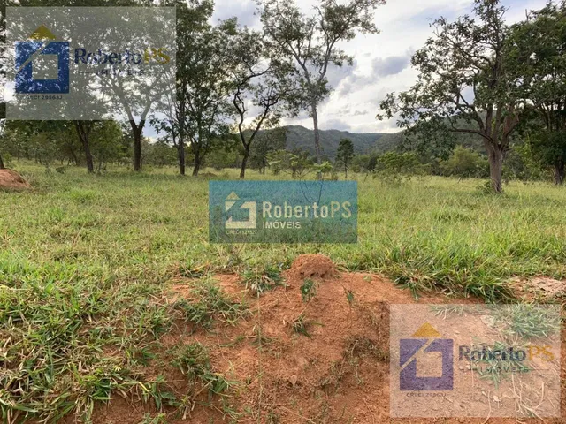Imagem 3: Fazenda a venda na região de Paracatu -MG. A fazenda possui 212.1770 hectares (44