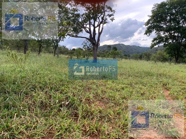 Imagem 2: Fazenda a venda na região de Paracatu -MG. A fazenda possui 212.1770 hectares (44