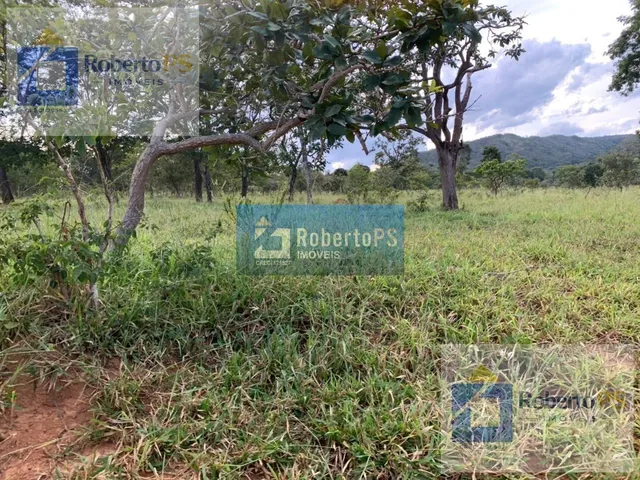 Imagem 5: Fazenda a venda na região de Paracatu -MG. A fazenda possui 212.1770 hectares (44