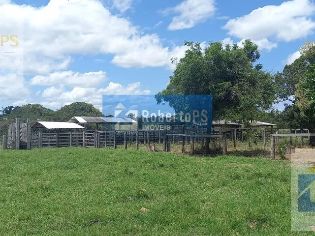 Imagem 13: 0 Fazenda / sítio com 2 dormitórios