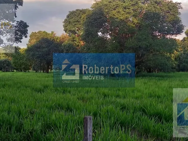 Imagem 5: 0 Fazenda / sítio com 2 dormitórios