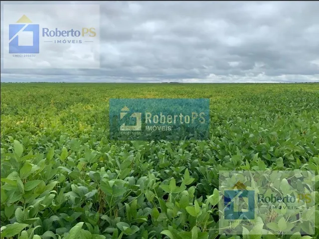 Imagem 4: 0 Fazenda / sítio com venda por R$80.000.000