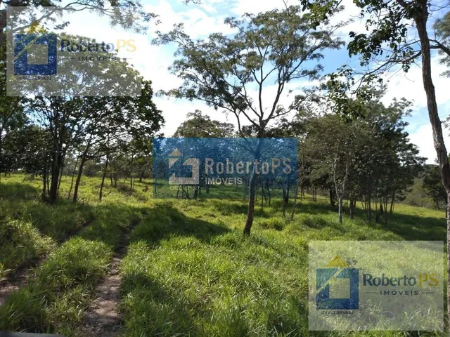 Imagem: