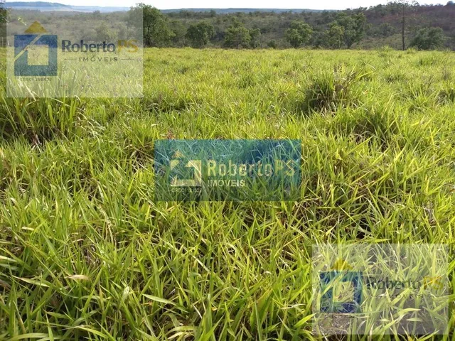 Imagem 3: 0 Fazenda / sítio com 3 dormitórios