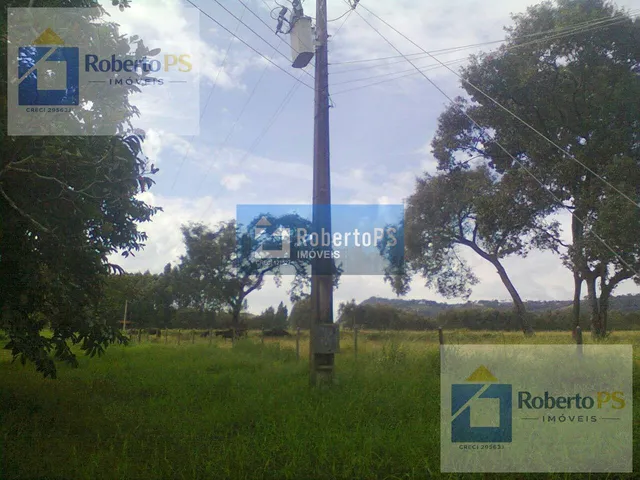 Imagem 16: 0 Fazenda / sítio com 3 dormitórios