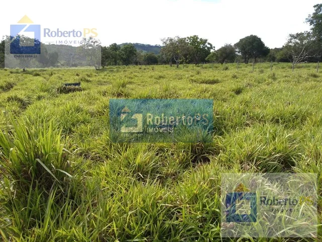 Imagem 6: 0 Fazenda / sítio com 3 dormitórios