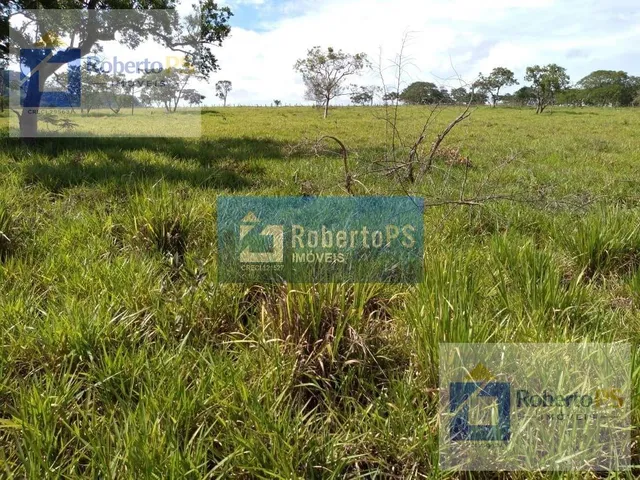 Imagem 5: 0 Fazenda / sítio com 3 dormitórios