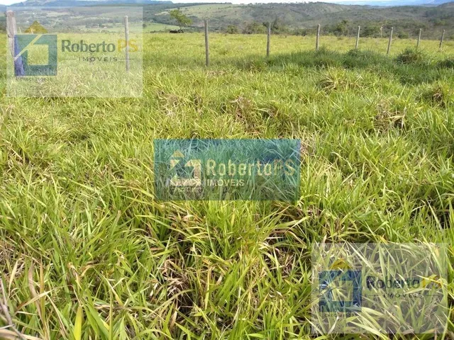 Imagem 12: 0 Fazenda / sítio com 3 dormitórios