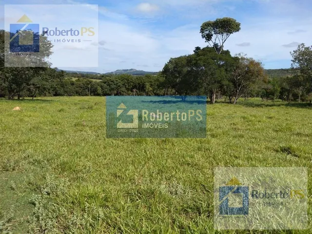 Imagem 11: 0 Fazenda / sítio com 3 dormitórios
