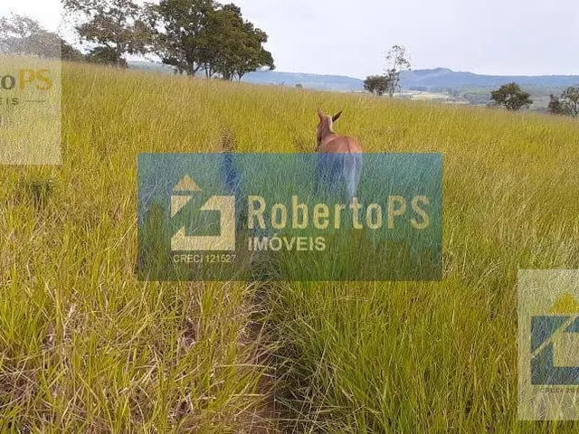 Imagem 7: 0 Fazenda / sítio com 3 dormitórios