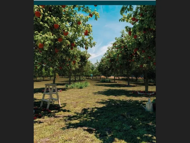 Imagem 2: Excepcional Terreno em Condomínio Fechado