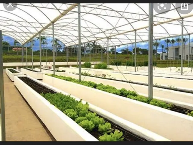 Imagem 4: Excepcional Terreno em Condomínio Fechado