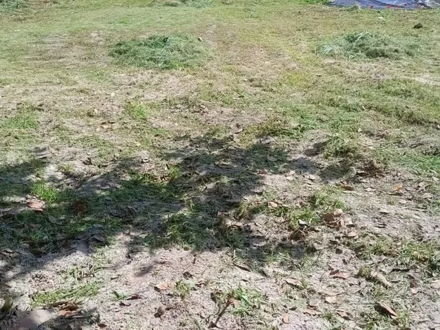 Imagem 9: Terreno Residencial em Camaçari - Bahia, Catu de Abrantes (Abrantes