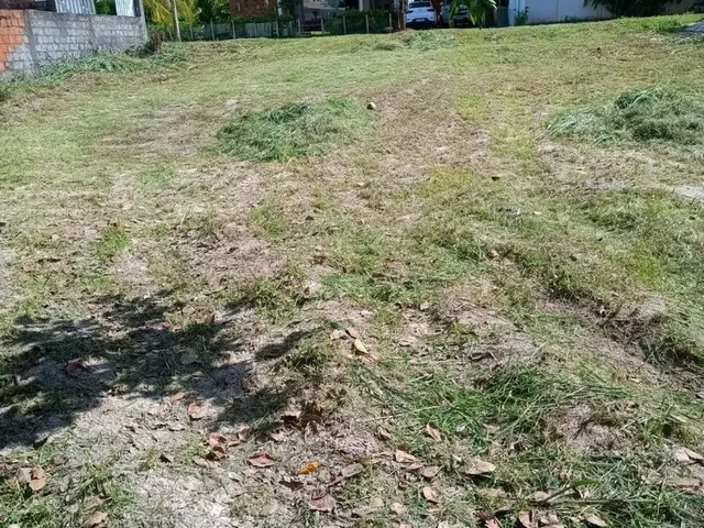Imagem 2: Terreno Residencial em Camaçari - Bahia, Catu de Abrantes (Abrantes