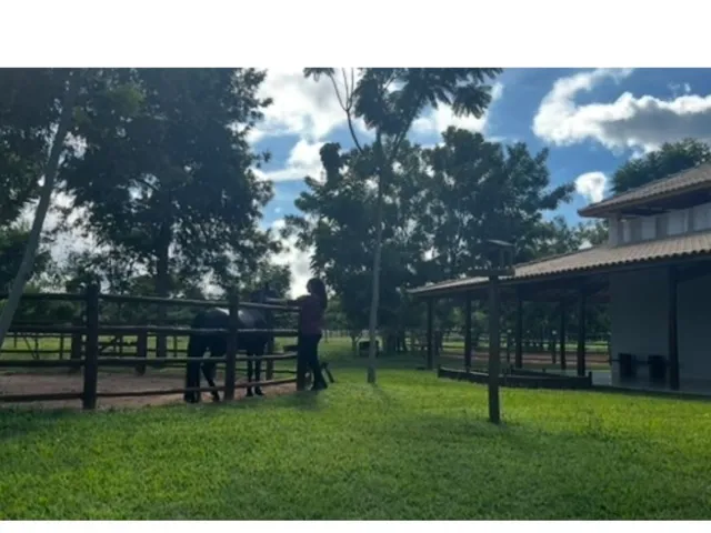 Imagem 8: Haras de alto padrão à venda em Barra do Choça-BA, com 1.000 m² de área! Venha