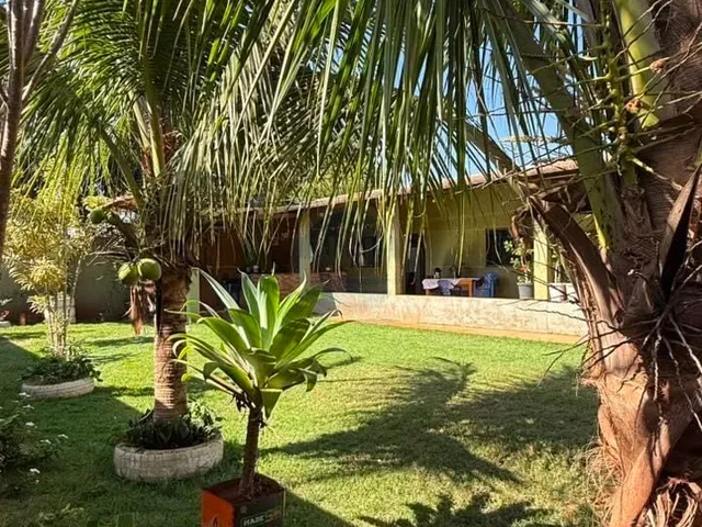 Imagem: Sítio em Sitioca Ouro Fino, Dourados/MS