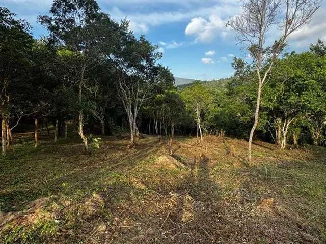 Imagem: Terreno Residencial em Florianópolis