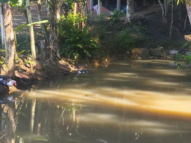 Imagem 2: Sítio À Venda no Bairro Brilhante II - Itajaí/Sc