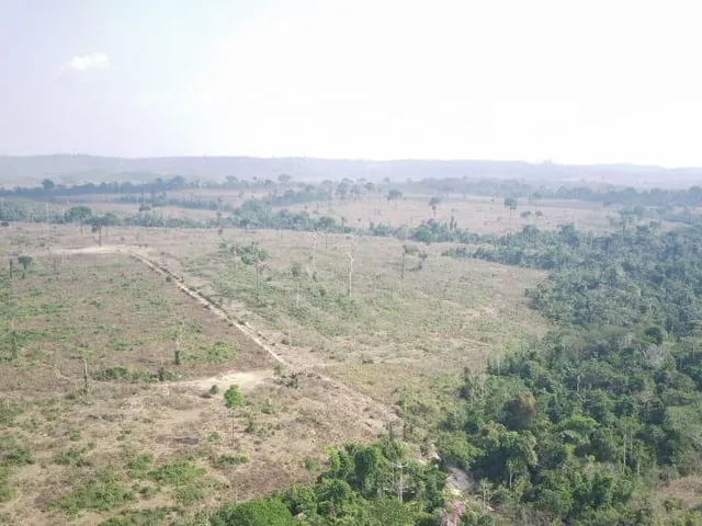 Imagem: A fazenda possui 1.632m² de Área e está localizado em
