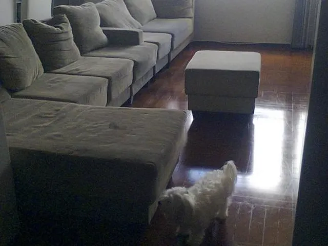 Imagem 6: Apartamento para venda ou troca no Centro em Ribeirão Preto - SP, Ed Agulhas Negras, 3