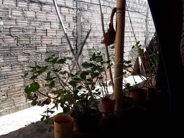 Imagem 6: Casa Residencial em Brodowski - São Paulo