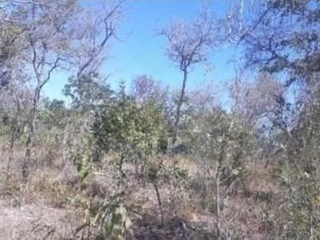 Imagem 3: Fazenda RURAL em Cotegipe - Bahia
