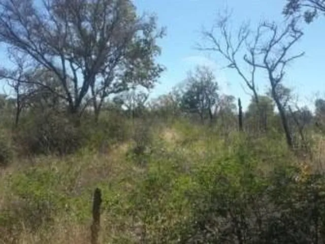 Imagem 4: Fazenda RURAL em Cotegipe - Bahia