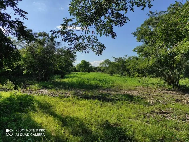 Imagem 8: Fazenda RURAL em Santa Rita de Cássia - Bahia