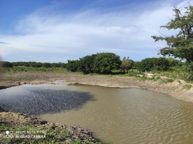 Imagem 16: Fazenda RURAL em Santa Rita de Cássia - Bahia