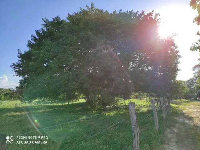 Imagem 15: Fazenda RURAL em Santa Rita de Cássia - Bahia