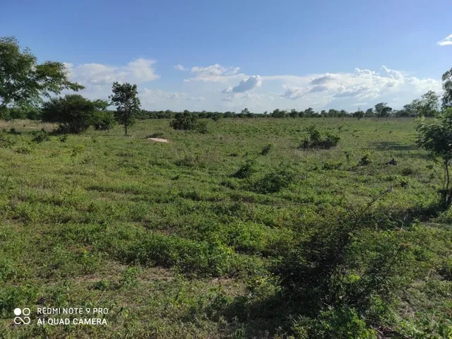 Imagem 5: Fazenda RURAL em Santa Rita de Cássia - Bahia