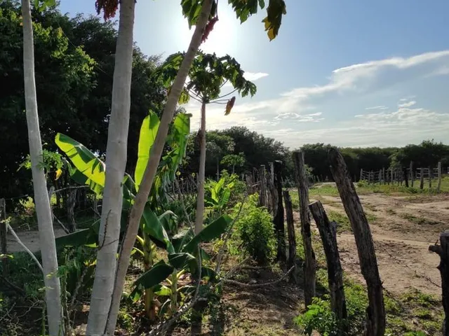 Imagem 14: Fazenda RURAL em Santa Rita de Cássia - Bahia