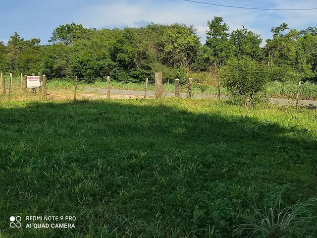 Imagem 13: Fazenda RURAL em Santa Rita de Cássia - Bahia