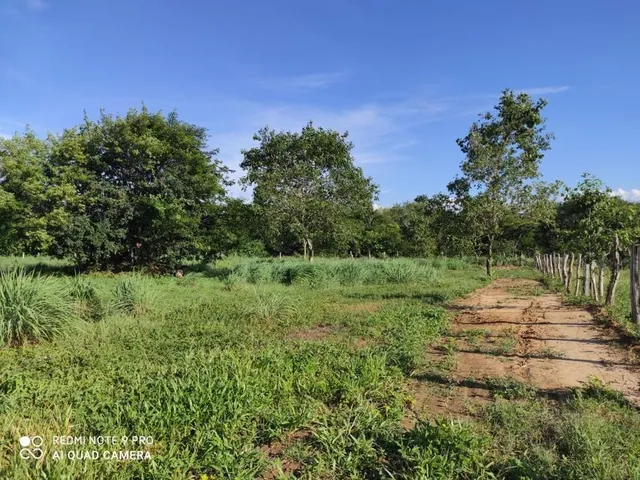 Imagem 9: Fazenda RURAL em Santa Rita de Cássia - Bahia