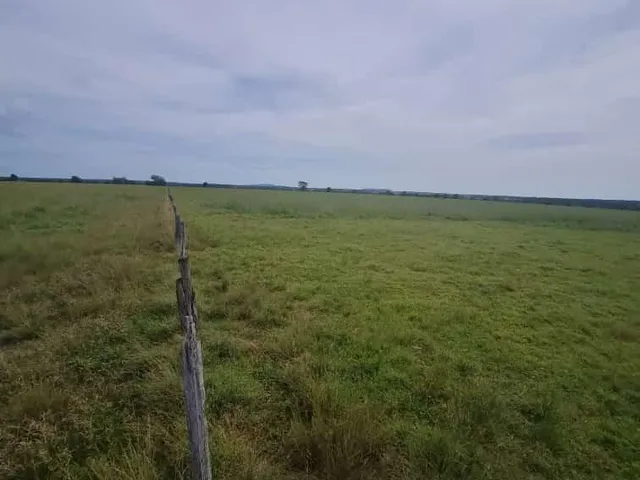Imagem: Fazenda RURAL em Mozarlândia - Goiás