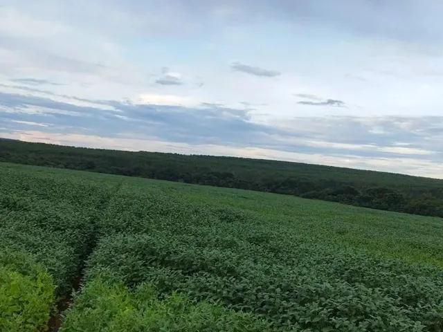 Imagem 2: Fazenda RURAL em Campina Verde - Minas Gerais
