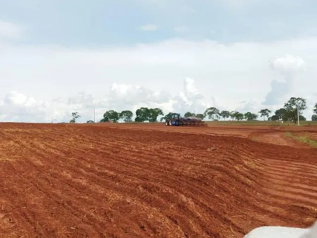 Imagem 3: Fazenda RURAL em Campina Verde - Minas Gerais