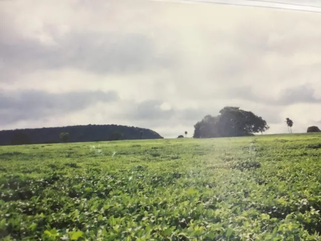 Imagem 10: 0 Fazenda / sítio com venda por R$17.640.000