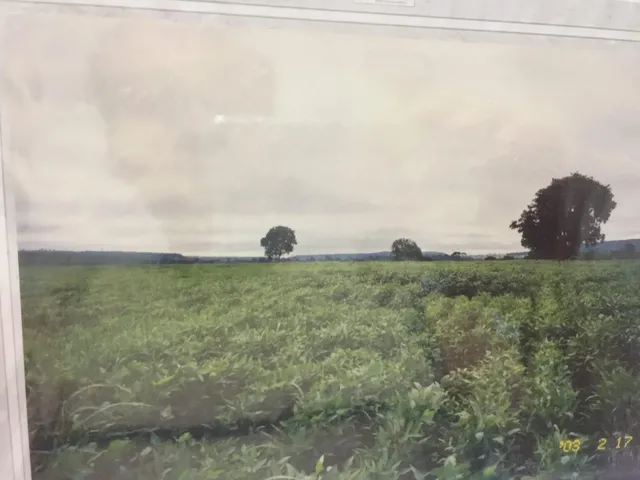 Imagem 3: 0 Fazenda / sítio com venda por R$17.640.000