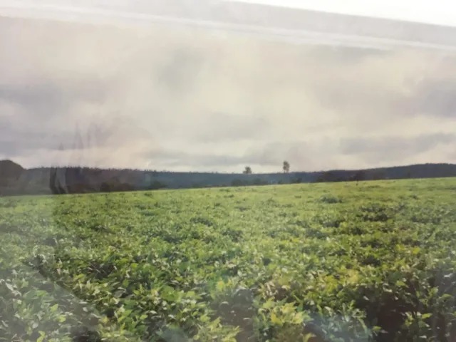 Imagem 7: 0 Fazenda / sítio com venda por R$17.640.000