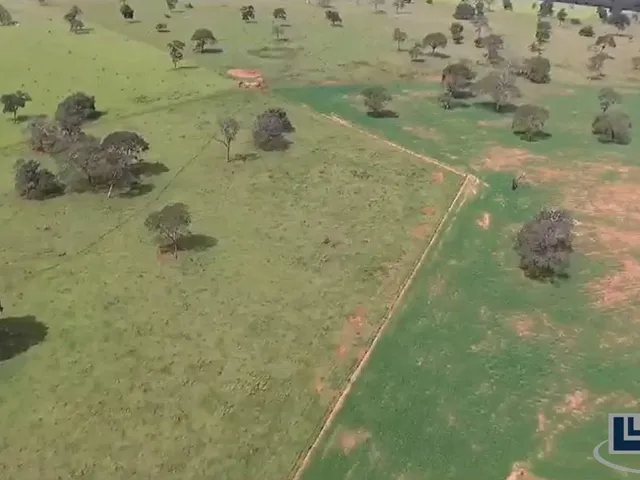 Imagem 9: Fazenda RURAL em Itarumã - Goiás