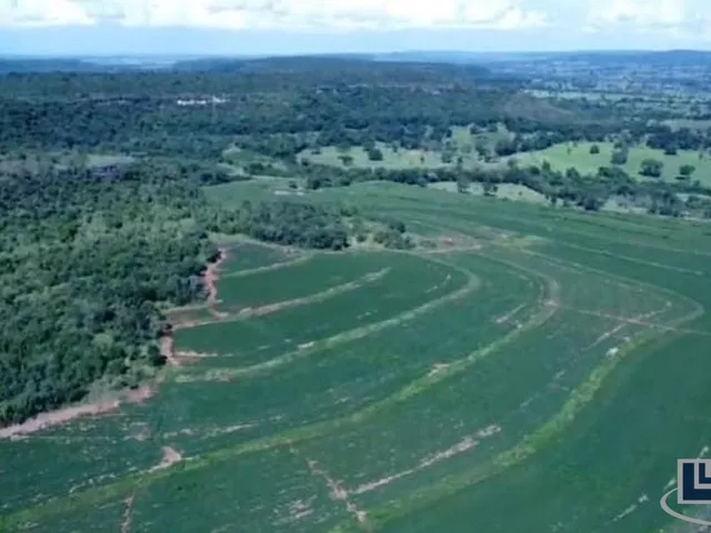 Imagem 12: Excelente fazenda para lavoura a venda na região do Prata-MG com 250 hectares sendo 180