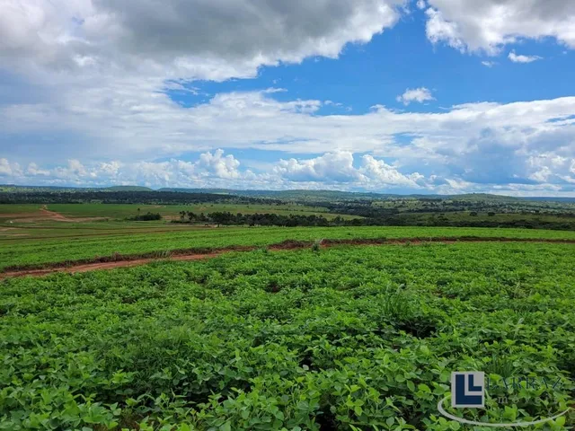 Imagem 5: Excelente fazenda para lavoura a venda na região do Prata-MG com 250 hectares sendo 180