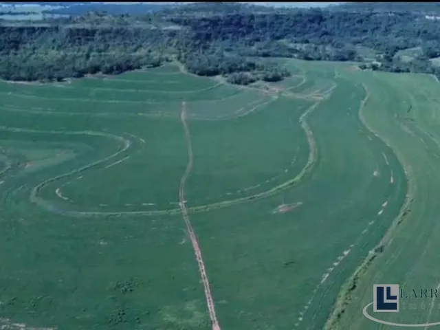 Imagem 9: Excelente fazenda para lavoura a venda na região do Prata-MG com 250 hectares sendo 180