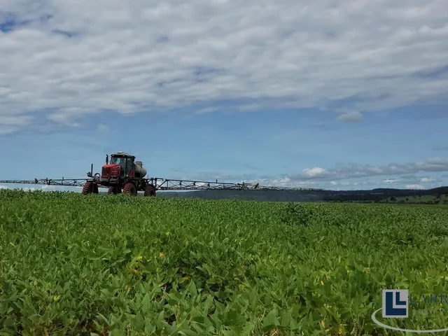 Imagem 14: Excelente fazenda para lavoura a venda na região do Prata-MG com 250 hectares sendo 180