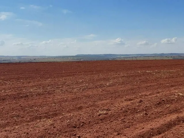 Imagem 13: Excelente fazenda para lavoura a venda na região do Prata-MG com 250 hectares sendo 180