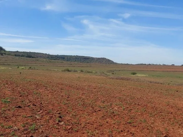 Imagem 6: Excelente fazenda para lavoura a venda na região do Prata-MG com 250 hectares sendo 180